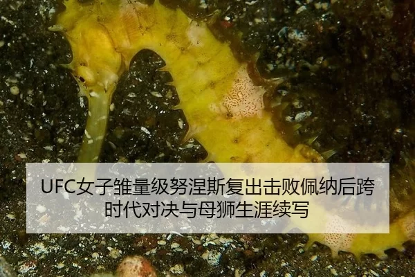 nv-zi-chu-liang-ji-nu-nie-si-fu-chu-ji-bai-pei-na-hou-kua-shi-dai-dui-jue-yu-mu-shi-sheng-ya-xu-xie-2-142.jpg